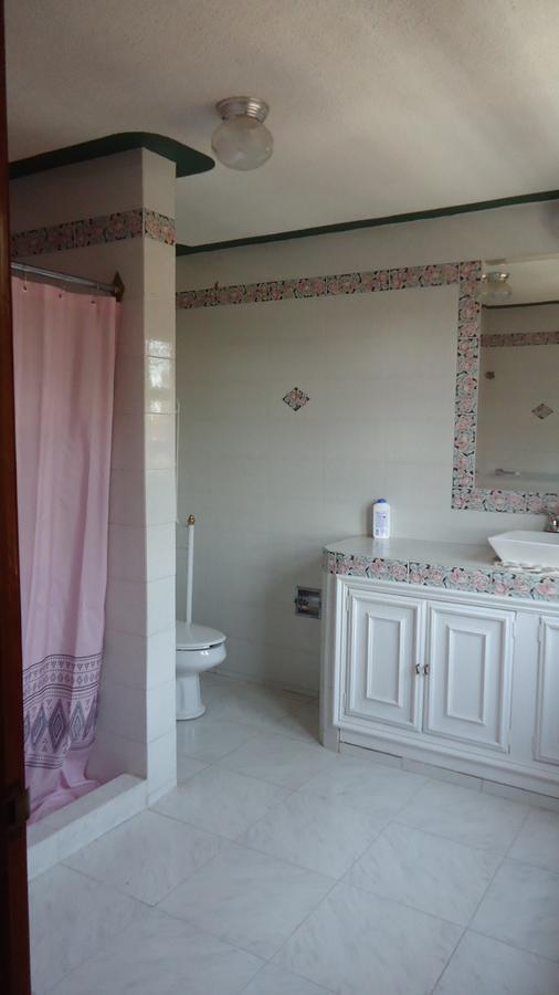 Casa De Los Abuelos Hotel Сан Мигел де Аленде Екстериор снимка
